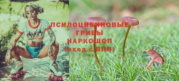 ECSTASY Козловка