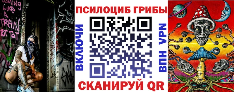Псилоцибиновые грибы MAGIC MUSHROOMS  Купить где  Грязи 